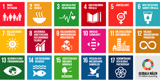 FN:s 17 globala mål