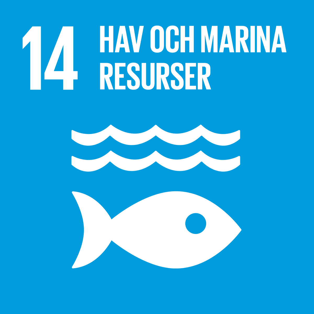 En illustration av FNs 14e globala mål med texten hav och marina resurser